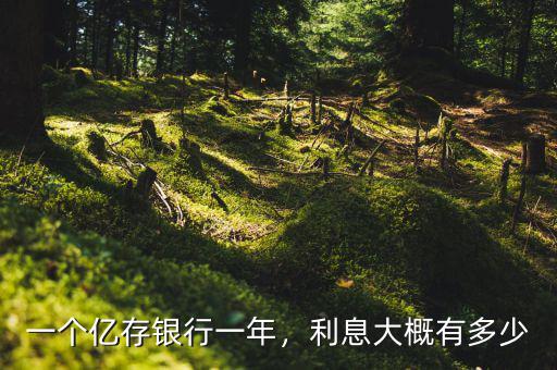 一個億存銀行一年，利息大概有多少