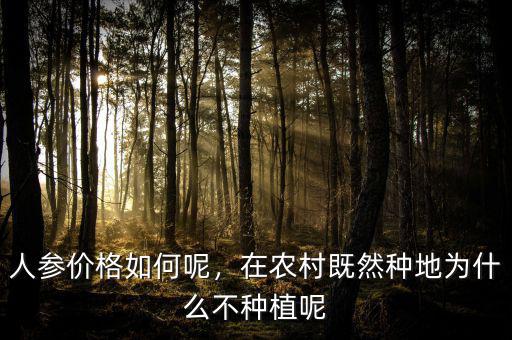 人參價格如何呢，在農(nóng)村既然種地為什么不種植呢
