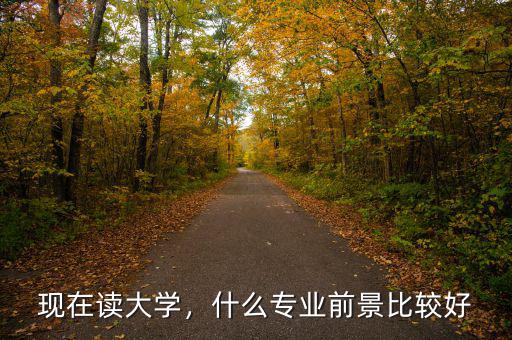 現(xiàn)在讀大學(xué)，什么專業(yè)前景比較好