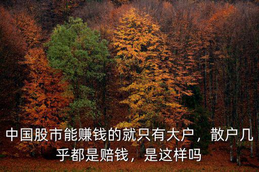 中國股市能賺錢的就只有大戶，散戶幾乎都是賠錢，是這樣嗎