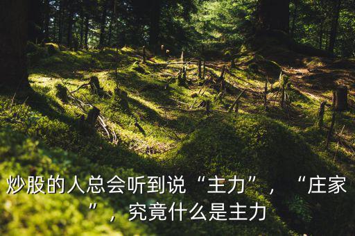 炒股的人總會聽到說“主力”，“莊家”，究竟什么是主力