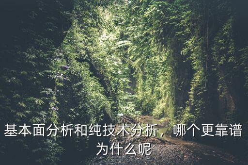 基本面分析和純技術(shù)分析，哪個(gè)更靠譜為什么呢