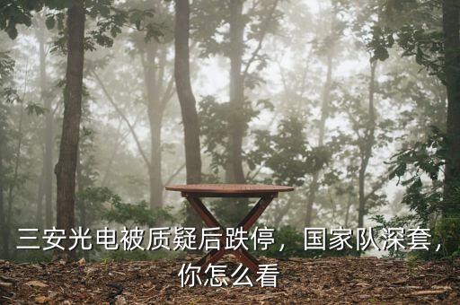 三安光電被質(zhì)疑后跌停，國家隊深套，你怎么看