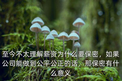 至今不太理解薪資為什么要保密，如果公司能做到公平公正的話，那保密有什么意義