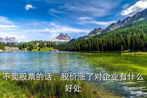 不賣股票的話、股價漲了對企業(yè)有什么好處