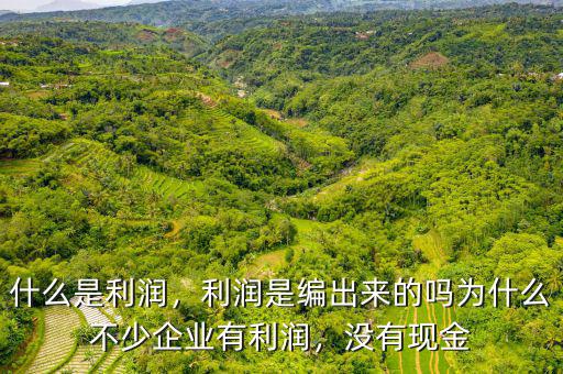 什么是利潤，利潤是編出來的嗎為什么不少企業(yè)有利潤，沒有現金