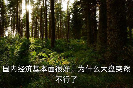 國內(nèi)經(jīng)濟(jì)基本面很好，為什么大盤突然不行了
