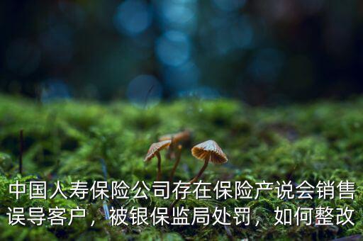 中國人壽保險公司存在保險產(chǎn)說會銷售誤導(dǎo)客戶，被銀保監(jiān)局處罰，如何整改