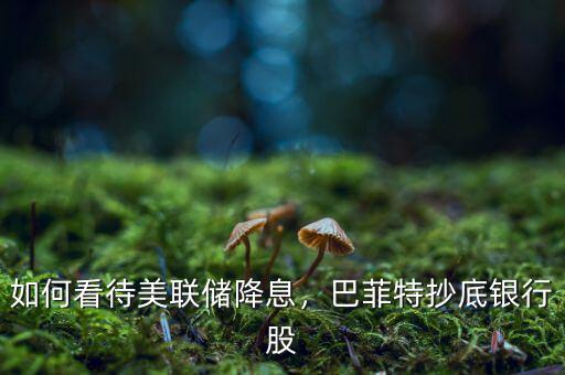如何看待美聯(lián)儲降息，巴菲特抄底銀行股