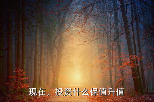 現(xiàn)在，投資什么保值升值