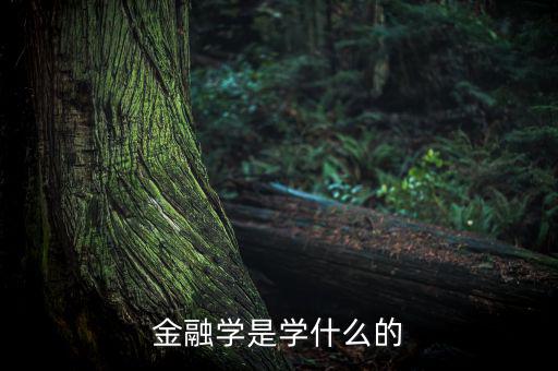 金融學(xué)中風(fēng)險是什么意思,金融學(xué)是學(xué)什么的