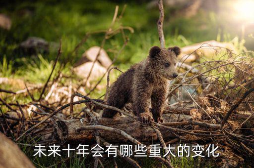 坪石有什么重大的變化,她的命運(yùn)會(huì)發(fā)生什么重大變化