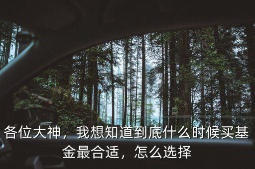 各位大神，我想知道到底什么時(shí)候買基金最合適，怎么選擇
