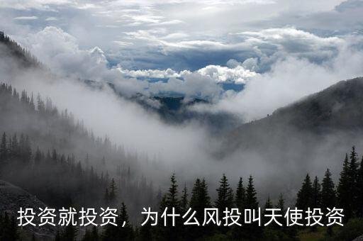 投資就投資，為什么風(fēng)投叫天使投資