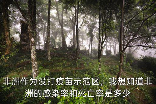 非洲作為沒(méi)打疫苗示范區(qū)，我想知道非洲的感染率和死亡率是多少