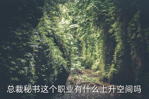 總裁秘書這個職業(yè)有什么上升空間嗎