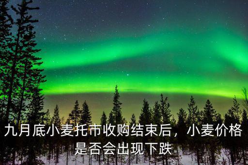 九月底小麥托市收購結束后，小麥價格是否會出現(xiàn)下跌