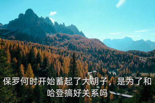 保羅何時開始蓄起了大胡子，是為了和哈登搞好關(guān)系嗎