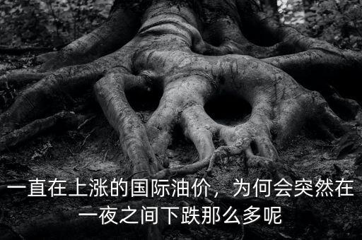 一直在上漲的國際油價，為何會突然在一夜之間下跌那么多呢