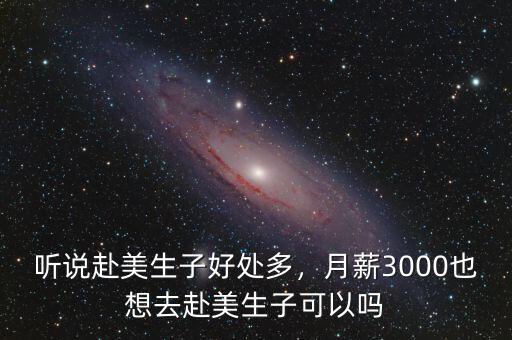 聽說赴美生子好處多，月薪3000也想去赴美生子可以嗎