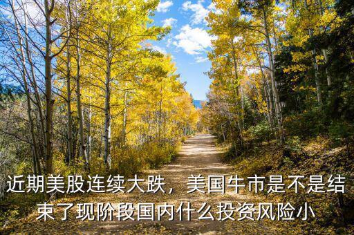 近期美股連續(xù)大跌，美國牛市是不是結束了現(xiàn)階段國內什么投資風險小