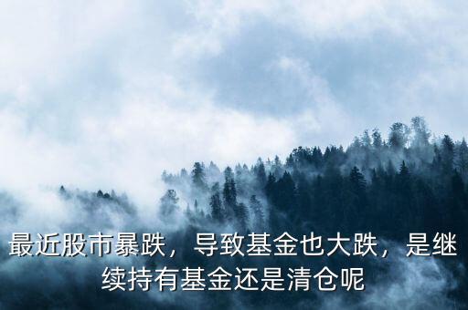 最近股市暴跌，導(dǎo)致基金也大跌，是繼續(xù)持有基金還是清倉(cāng)呢
