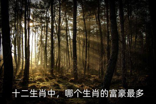 十二生肖中，哪個(gè)生肖的富豪最多
