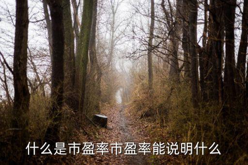 使用市盈率應(yīng)該注意什么,市盈率能說(shuō)明什么