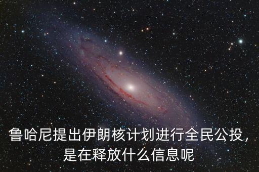 魯哈尼提出伊朗核計劃進行全民公投，是在釋放什么信息呢