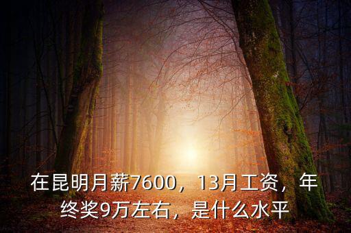 在昆明月薪7600，13月工資，年終獎9萬左右，是什么水平