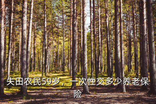 失田農(nóng)民59歲，一次性交多少養(yǎng)老保險