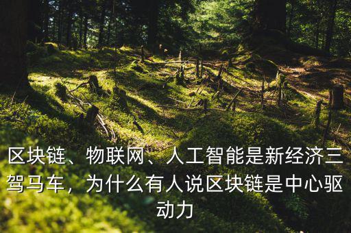 區(qū)塊鏈、物聯(lián)網(wǎng)、人工智能是新經(jīng)濟(jì)三駕馬車，為什么有人說(shuō)區(qū)塊鏈?zhǔn)侵行尿?qū)動(dòng)力