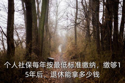 個(gè)人社保每年按最低標(biāo)準(zhǔn)繳納，繳夠15年后，退休能拿多少錢