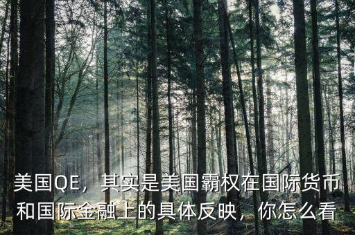 美國QE，其實是美國霸權在國際貨幣和國際金融上的具體反映，你怎么看