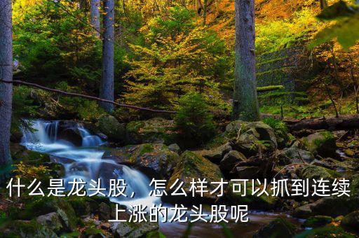 什么是龍頭股，怎么樣才可以抓到連續(xù)上漲的龍頭股呢