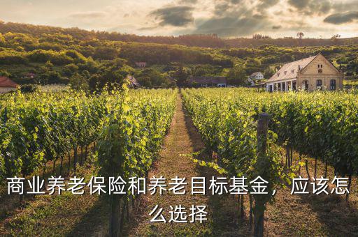商業(yè)養(yǎng)老保險和養(yǎng)老目標基金，應該怎么選擇
