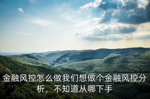 金融風(fēng)控怎么做我們想做個(gè)金融風(fēng)控分析，不知道從哪下手