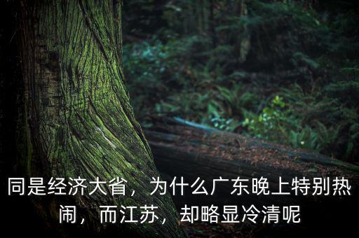 同是經(jīng)濟(jì)大省，為什么廣東晚上特別熱鬧，而江蘇，卻略顯冷清呢