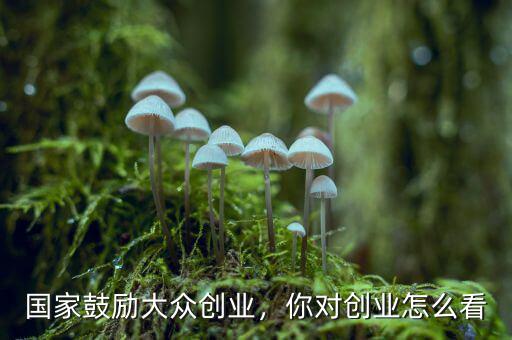 國(guó)家鼓勵(lì)大眾創(chuàng)業(yè)，你對(duì)創(chuàng)業(yè)怎么看