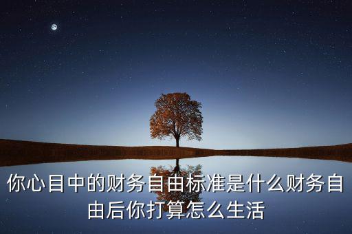財務(wù)標(biāo)準(zhǔn)是什么,實(shí)現(xiàn)財務(wù)自由的是哪些人
