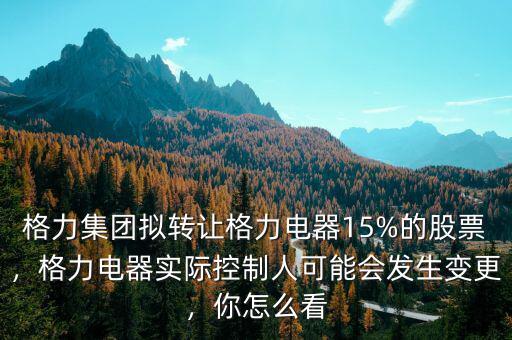 格力集團擬轉(zhuǎn)讓格力電器15%的股票，格力電器實際控制人可能會發(fā)生變更，你怎么看