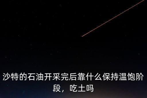 沙特的石油開采完后靠什么保持溫飽階段，吃土嗎