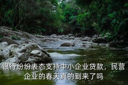 銀行紛紛表態(tài)支持中小企業(yè)貸款，民營企業(yè)的春天真的到來了嗎