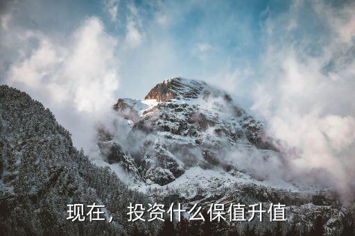 現(xiàn)在，投資什么保值升值