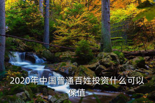 中國未來一百年投資什么最保值,什么資產最能保值