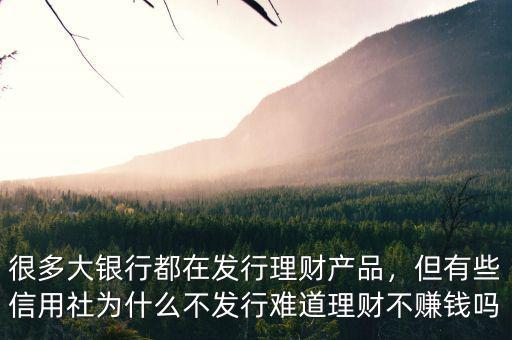 很多大銀行都在發(fā)行理財產(chǎn)品，但有些信用社為什么不發(fā)行難道理財不賺錢嗎