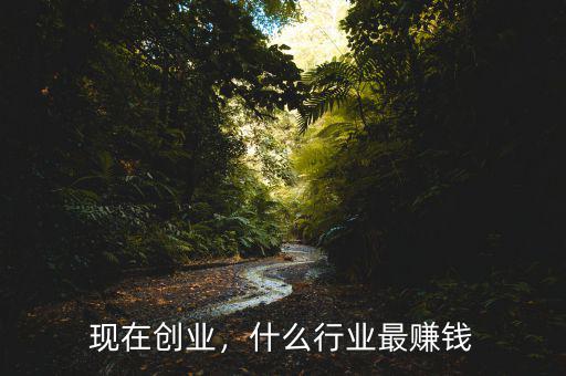現(xiàn)在創(chuàng)業(yè)，什么行業(yè)最賺錢