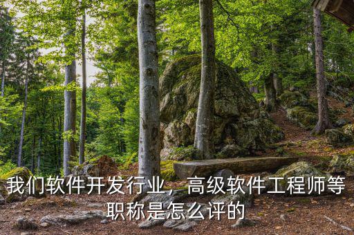 我們軟件開發(fā)行業(yè)，高級軟件工程師等職稱是怎么評的