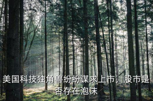 美國科技獨角獸紛紛謀求上市，股市是否存在泡沫