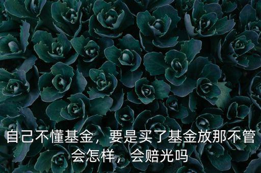 自己不懂基金，要是買了基金放那不管會(huì)怎樣，會(huì)賠光嗎